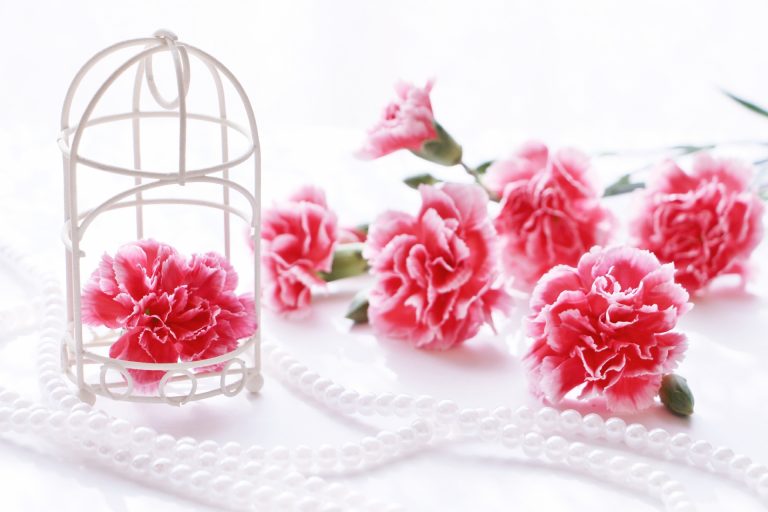 マウントを取りたい人の心理と対策 命の現場から 「看護師とっきーの氣づきナビゲート」ブログ